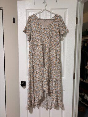 Citrus Print High-Low Midi Dress | Floral Flutter Sleeve Dress (Large)